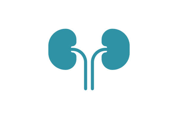 Nephrology / Renal Medicine