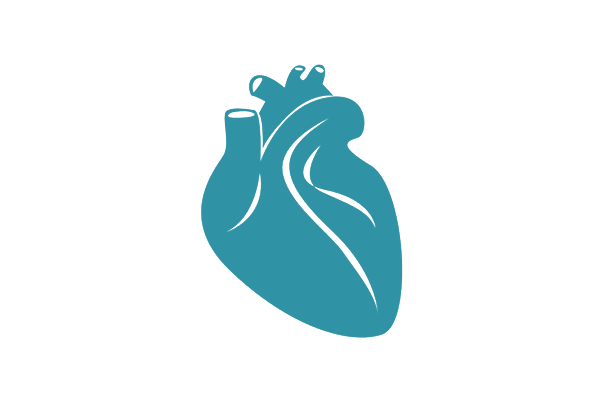 Cardiology 
